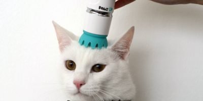 PawzUp launches portable pet massager